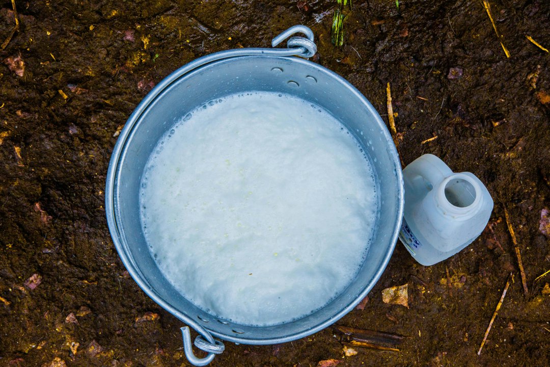 A bucket of soapy water | Source: Pexels