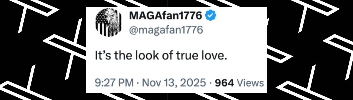 A viewer comments on Donald and Melania Trump's interaction during a White House event on November 13, 2025 | Source: X/magafan1776