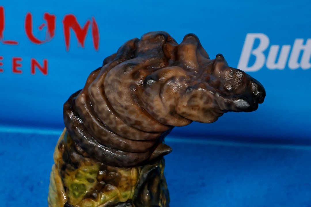 A close-up of Heidi Klum's tale as part of the costume she wore for her 2025 Hallowe'en Party on October 31 in New York. | Source: Getty Images