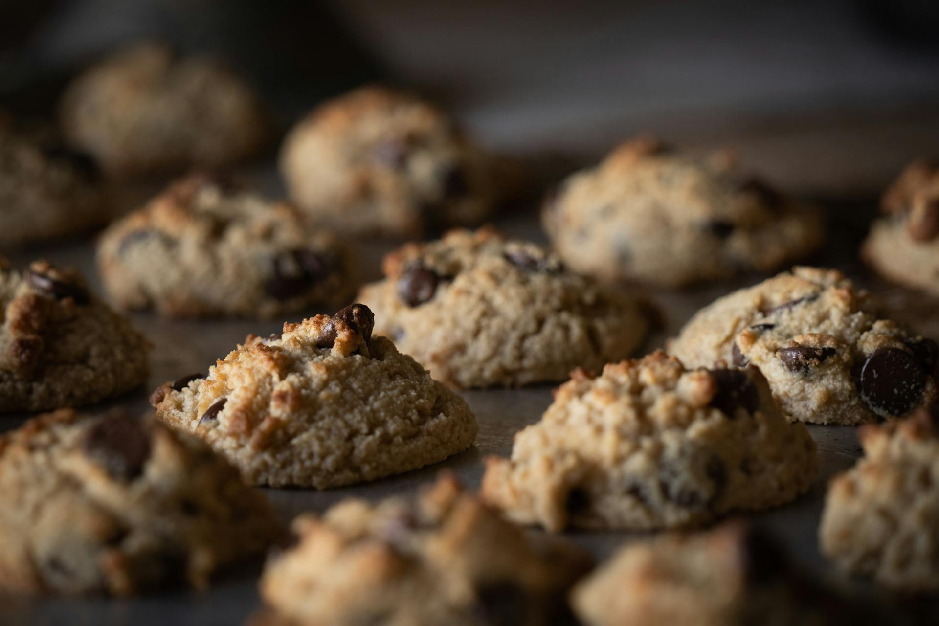 Chocolate chip cookies on a baking sheet | Source: Pexels