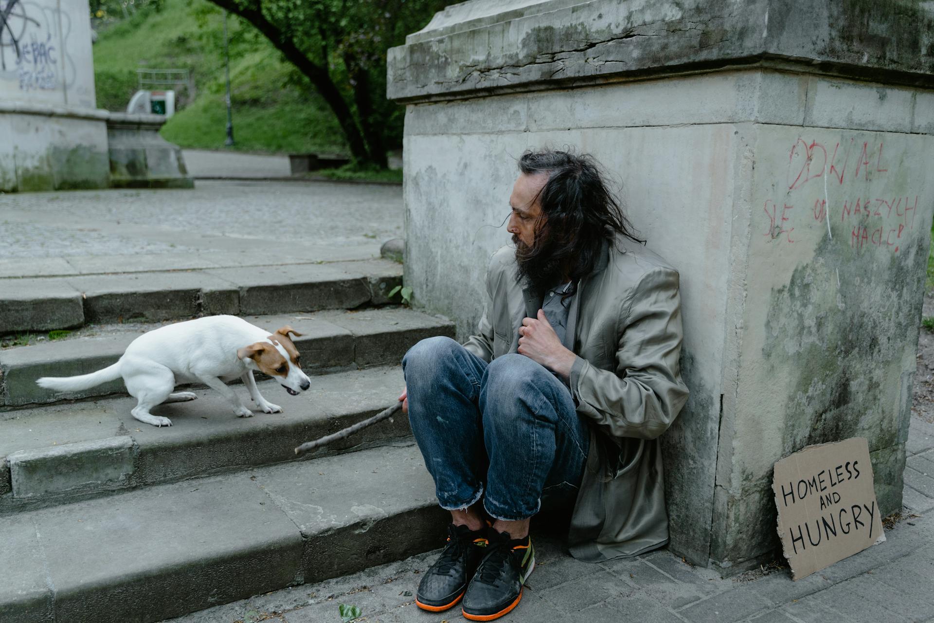 A homeless man with a dog | Source: Pexels
