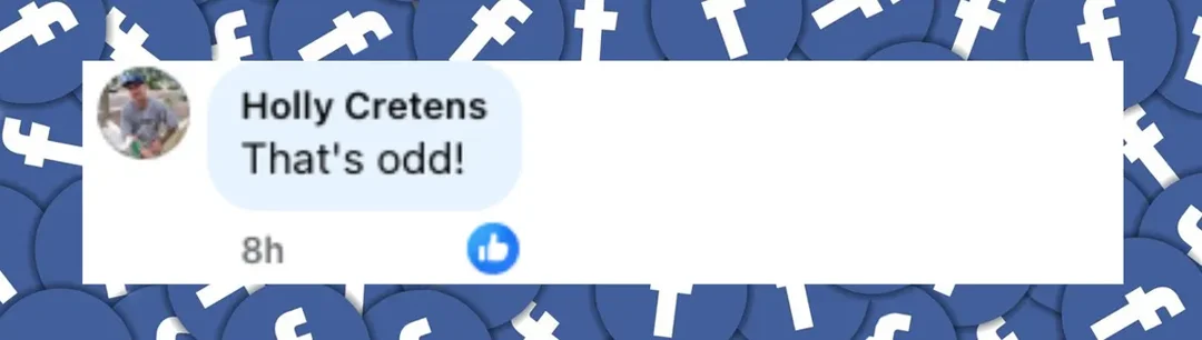 Netizen comment about Orlando Bloom and Rachel Lynn Matthews, posted on November 10, 2025. | Source: Facebook/Page Six