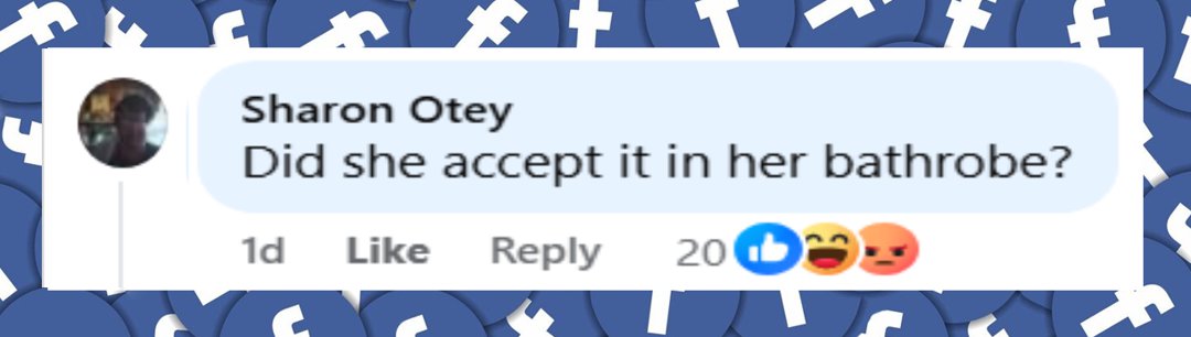 A netizen's comment about Melania Trump's outfit during the arrival of the White House Christmas tree on November 24, 2025 | Source: Facebook/ABC News