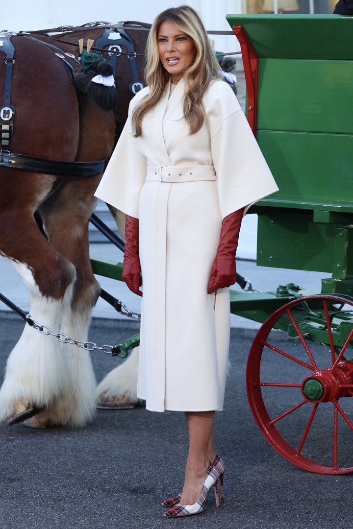US First Lady Melania Trump welcomes the official Christmas Tree at the White House on November 24, 2025, in Washington, DC | Source: Getty Images