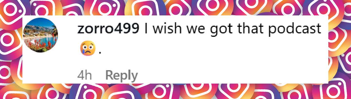 A netizen's comment on Diane Ladd's post dated September 17, 2025 | Source: Instagram/rosedianeladd