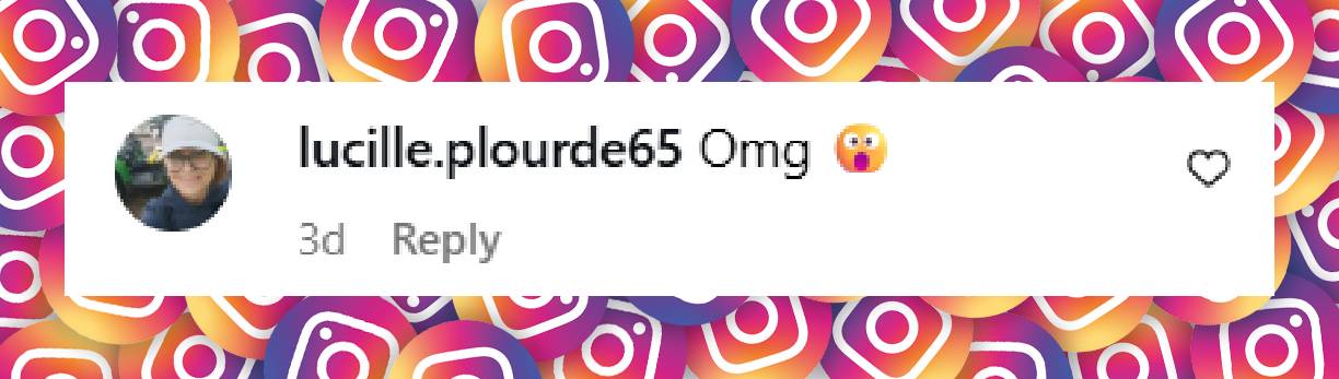 A comment under a post shared on 28 November 2025. | Source: Instagram/pagesix