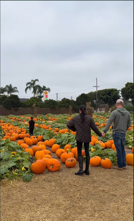 Prince Archie, and Meghan Markle, and Prince Harry pictured in a pumpkin patch, dated October 26, 2025 | Source: Instagram/meghan