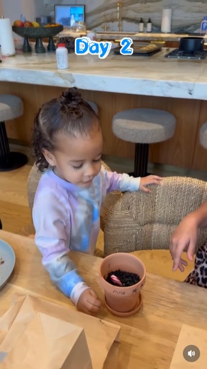 Holiday Wonder Unleashed: Cue gasps of joy! One little one peeks into their pot the next morning and finds a candy cane 