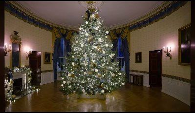 A grand Christmas tree at the center of a room in the White House. | Source: Facebook/First Lady Melania Trump