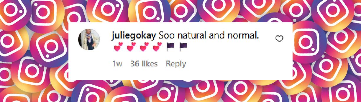 A user comment under a post shared on 21 November 2025. | Source: Instagram/kingsguardchannel