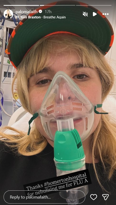 A screengrab of Paloma Faith's Stories post, shared on 7 December 2025. | Source: Instagram/palomafaith