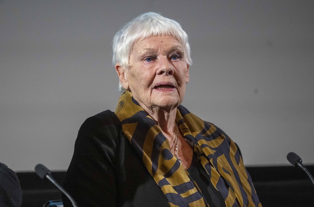 Dame Judi Dench introducing a screening of