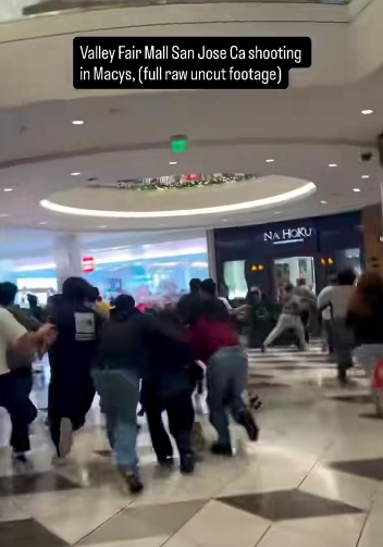 A wave of people rushed past storefronts inside the mall, moments after the first gunshot was heard. The holiday decorations overhead stood in stark contrast to the fear unfolding below, as shoppers — many of them families — desperately tried to find a way out. | Source: TikTok/mobilemike