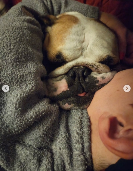 Adam Rickitt pictured cuddling Daphne as she sleeps against him in a quiet, intimate moment — from a post dated December 7, 2025. | Source: Instagram/adamrickitt