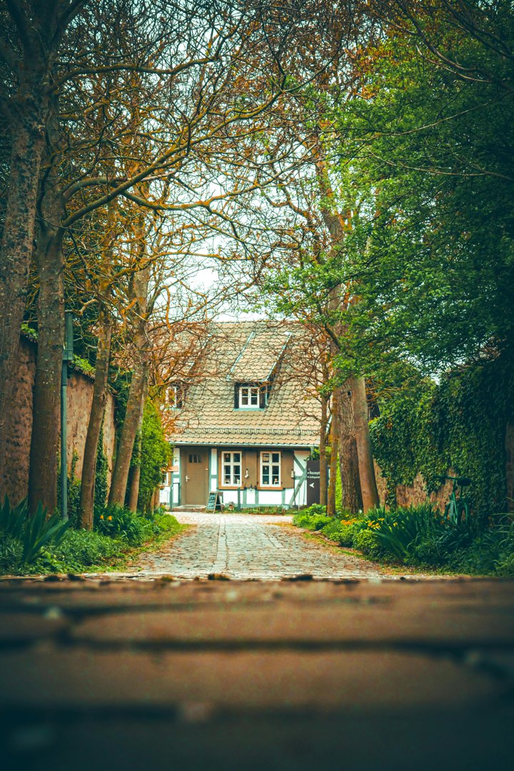 A beautiful cottage in a serene village | Source: Pexels