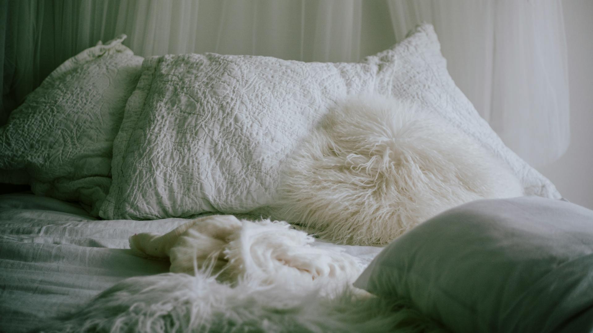 A comfortable bed | Source: Pexels