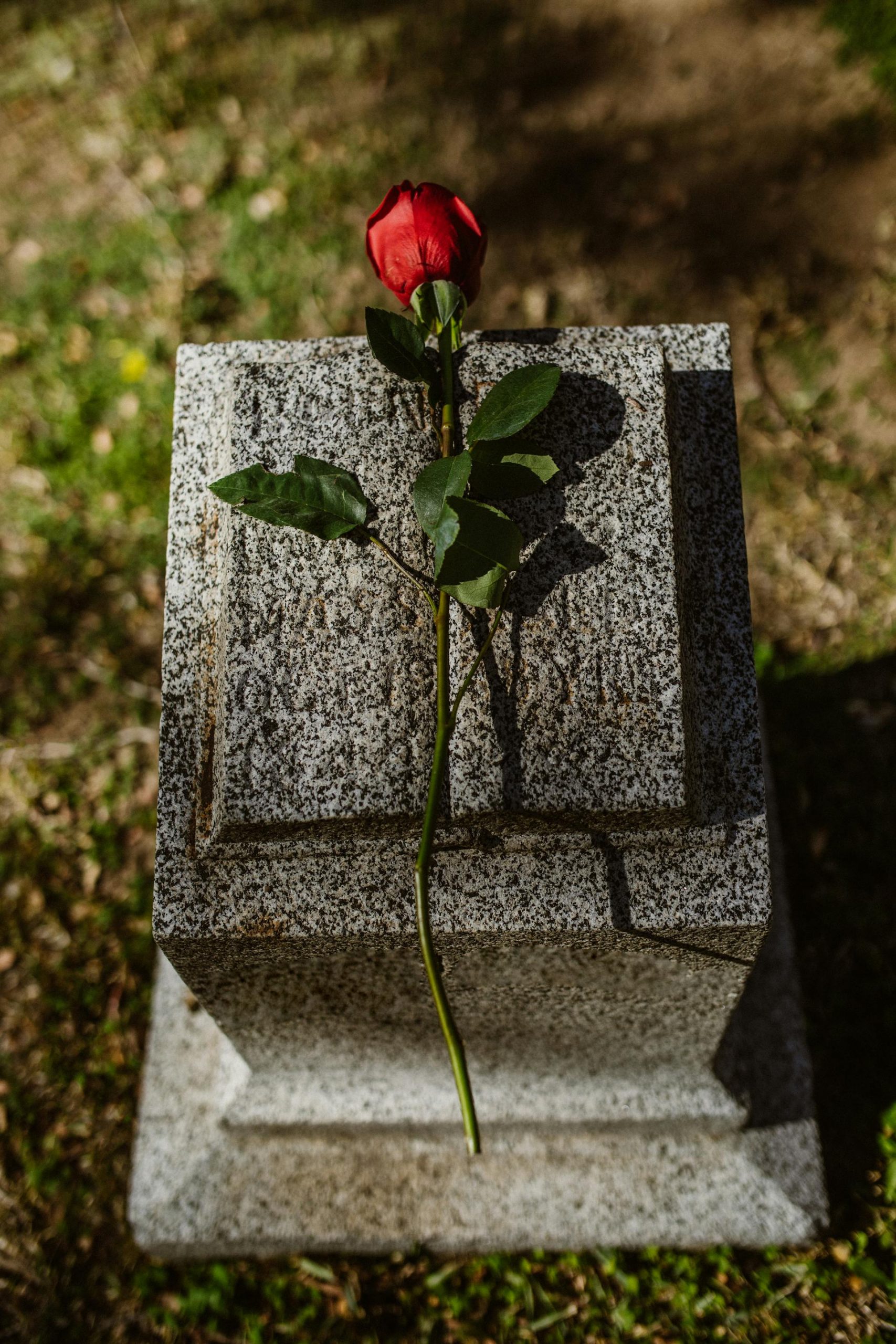 A red rose lying on a tombstone | Source: Pexels