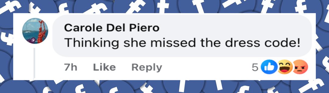 A netizen's comment about Melania Trump's outfit for the Governor's Dinner dated February 24, 2026 | Source: Facebook/HOLA USA