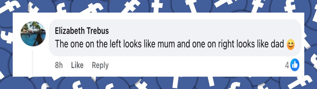 A netizen's comment about Jimmy Fallon's daughters on a post dated February 25, 2026 | Source: Facebook/Jimmy Fallon