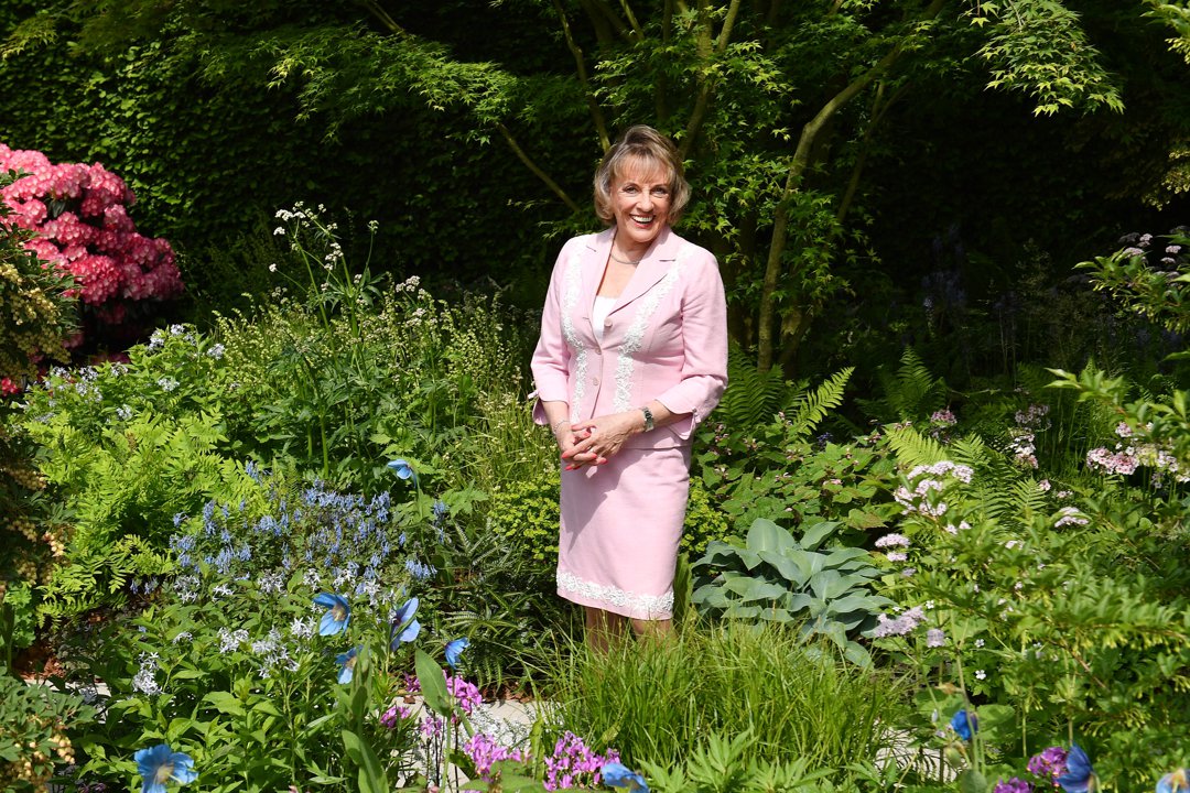 Dame Esther Rantzen at the Chelsea Flower Show 2018 on May 21 in London, England. | Source: Getty Images