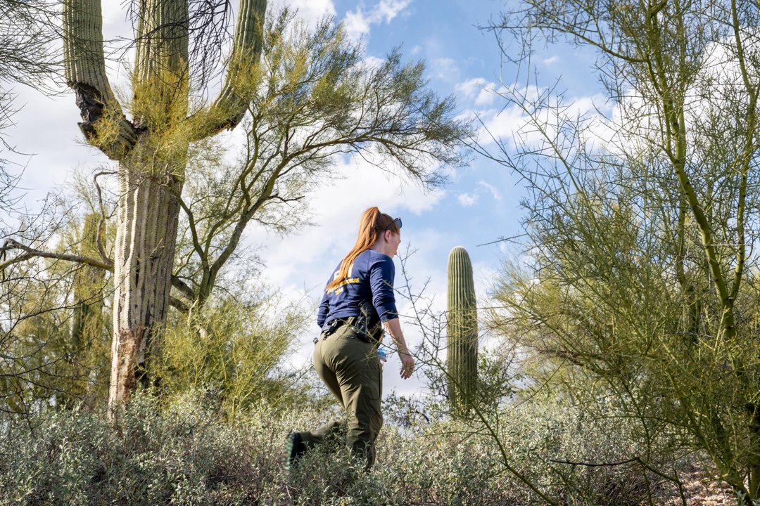 FBI personnel search desert terrain near Nancy Guthrie's Tucson home on February 11, 2026 | Source: Getty Images