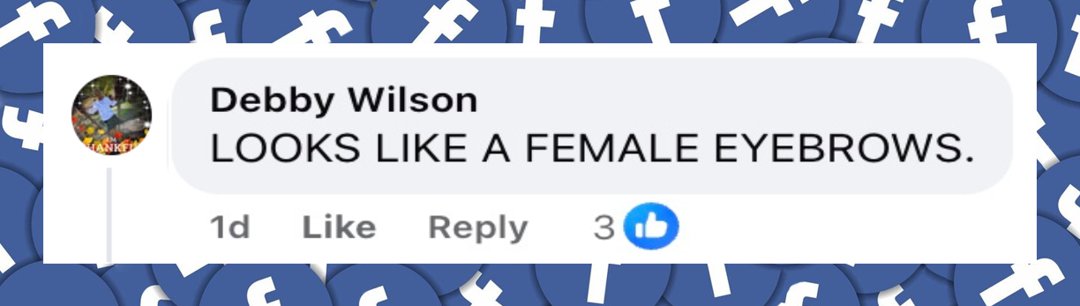 A netizen's comment about the masked individual in front of Nancy Guthrie's home, from a post dated February 11, 2026 | Source: Facebook/Celebritist