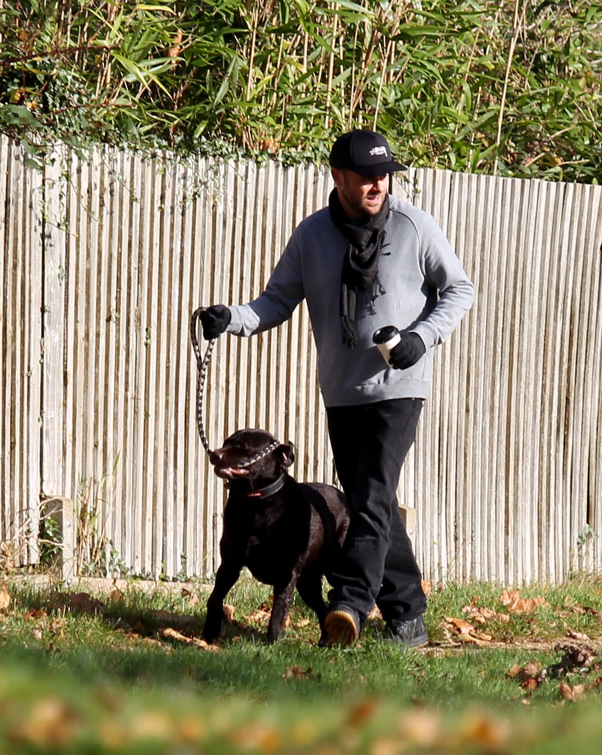 Ant McPartlin seen walking his dog, Hurley, on November 10, 2017, in London, England. | Source: Getty Images