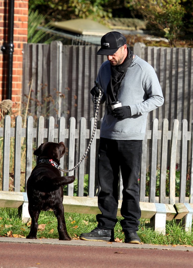 Ant McPartlin seen walking his dog, Hurley, on November 10, 2017, in London, England. | Source: Getty Images