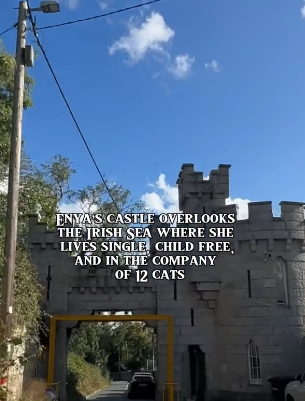 Viewed from the narrow Victoria Road entrance, the castle's crenellated walls and arched gateway hint at a bygone era, blending medieval romance with coastal seclusion. Tucked discreetly into Killiney's leafy surroundings, the historic property remains largely hidden from passers-by despite its commanding presence. | Source: YouTube/@beforethecoffin