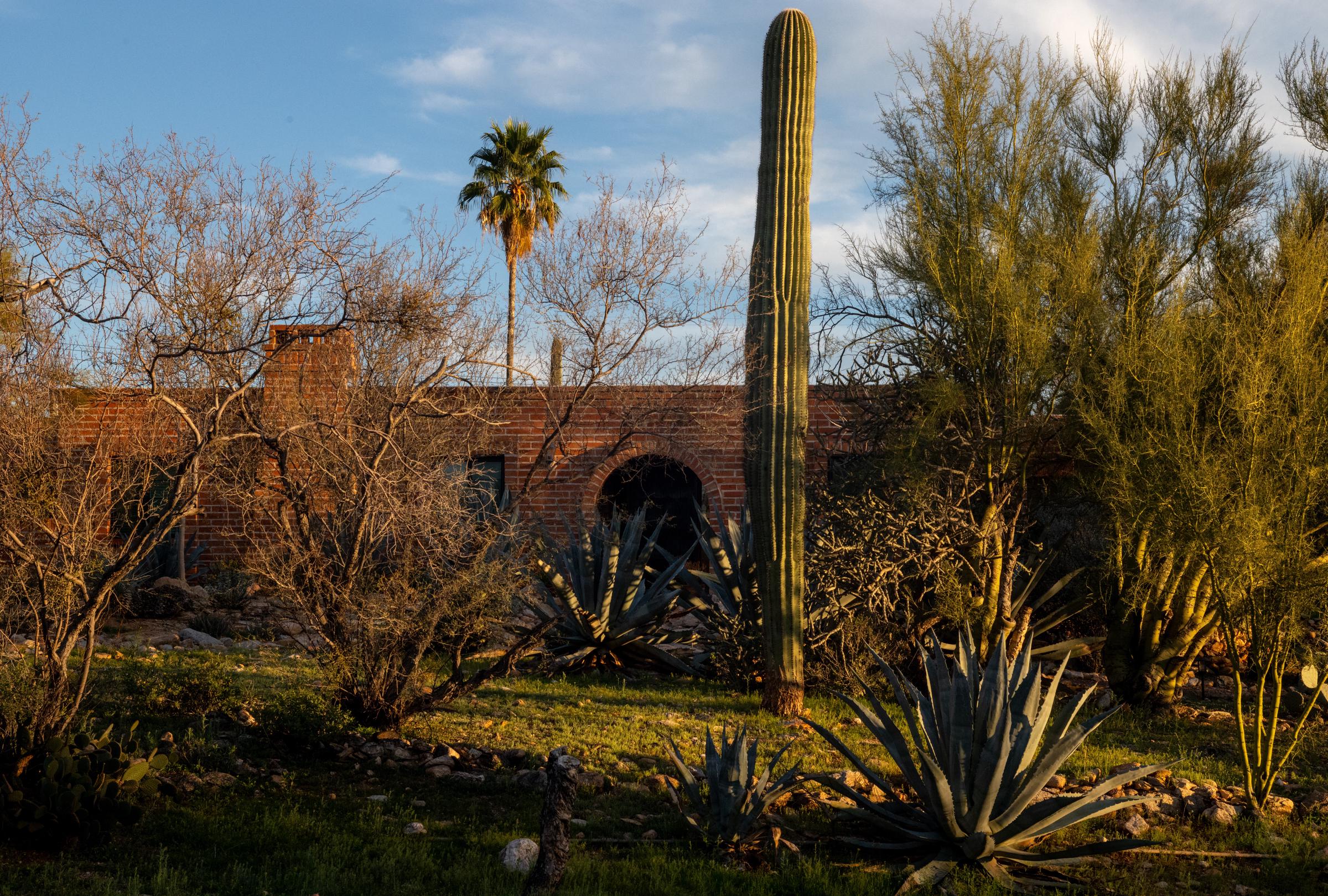 Nancy Guthrie’s residence is seen at sunset on February 15, 2026 | Source: Getty Images