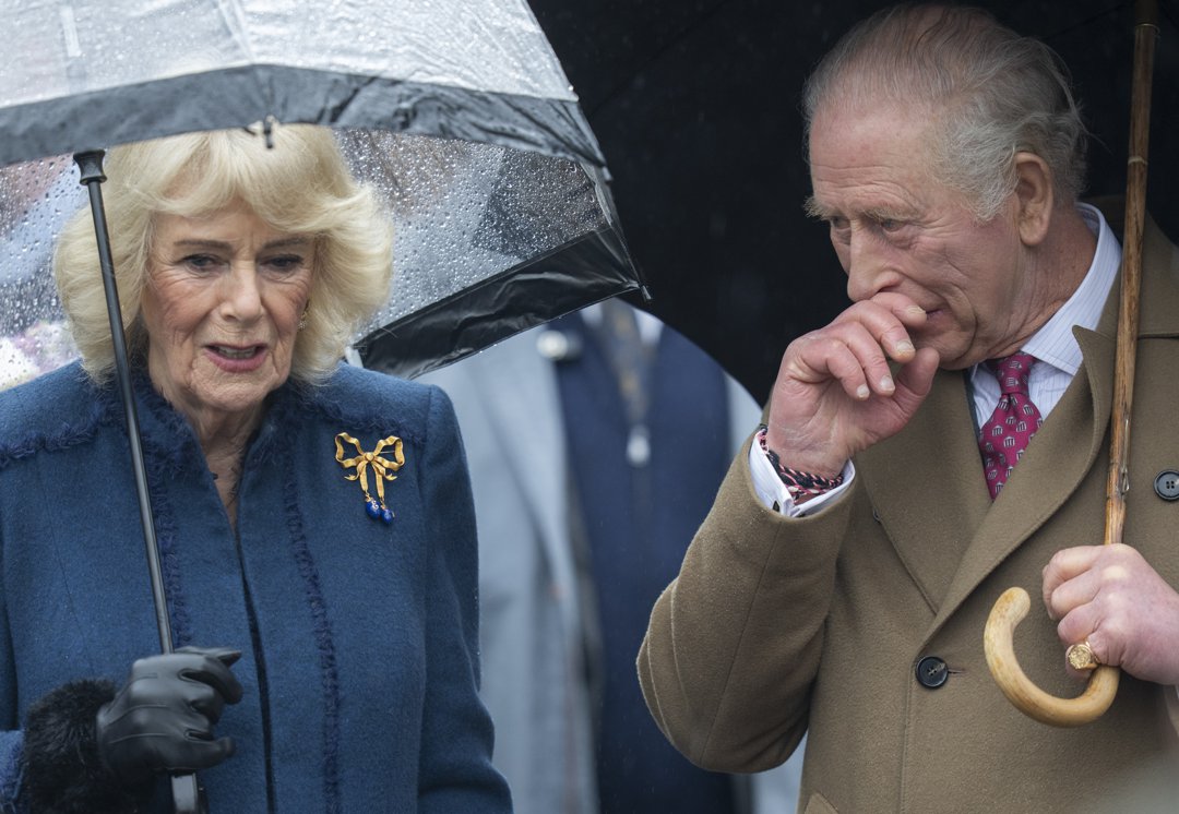 Queen Camilla and King Charles III meeting members of the public during a walkabout on February 5, 2026, in Dedham, Essex, England. | Source: Getty Images