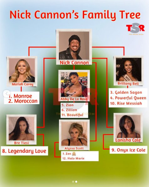 The Shade Room's diagram showing Nick Cannon's family tree, posted on November 14, 2025. | Source: Instagram/theshaderoom