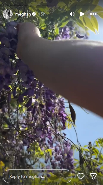 Meghan's bare arm reaches up into a cascade of trailing purple wisteria, the blooms hanging in clusters against a bright blue sky with sunlight filtering through the surrounding green leaves overhead. The shot is taken from below, giving the image an almost dreamy, upward-looking perspective. | Source: Instagram/meghan